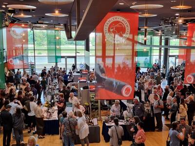  Impressionen Dresden