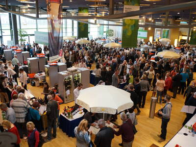  Impressionen Dresden