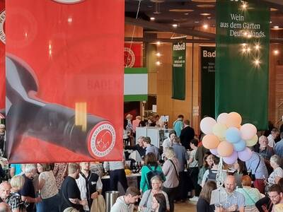  Impressionen Dresden